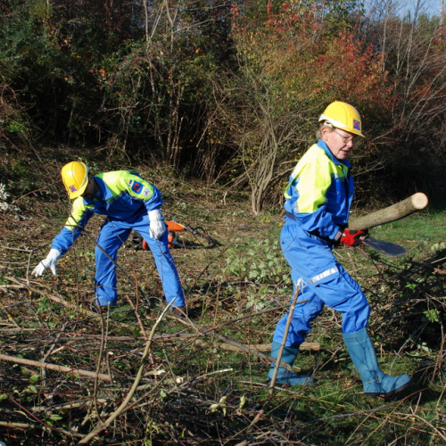 Esercitazione 12/11 n. 29 / 72398