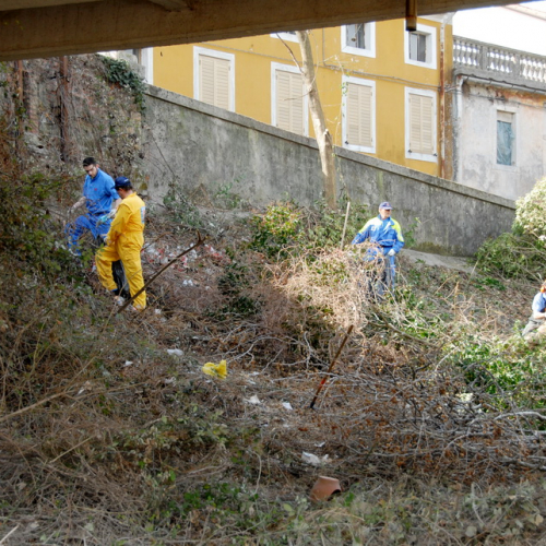 Intervento Fiume Isonzo nei pressi del Ponte di Sagrado n. 23 / 78635