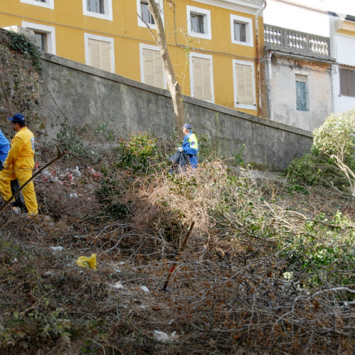 Intervento Fiume Isonzo nei pressi del Ponte di Sagrado n. 24 / 78636