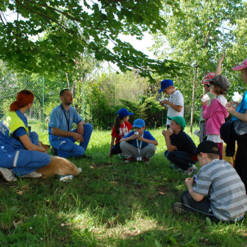 Attivit‡ formazione/divulgazione presso scuola Colugna n. 64 / 109935