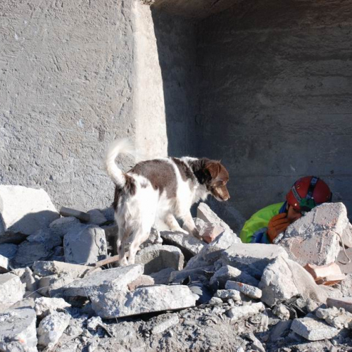 foto esercitazione 57 / 34027