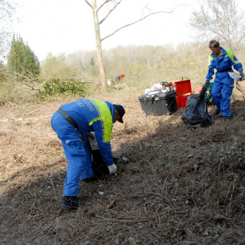 Intervento Fiume Isonzo nei pressi del Ponte di Sagrado n. 25 / 78637