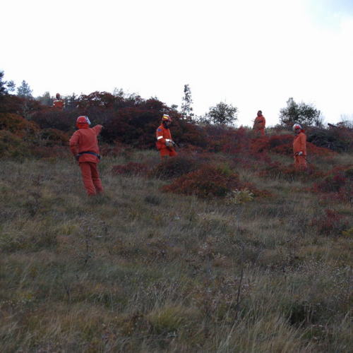 Foto TRSTELJ 07 n. 51 / 18269