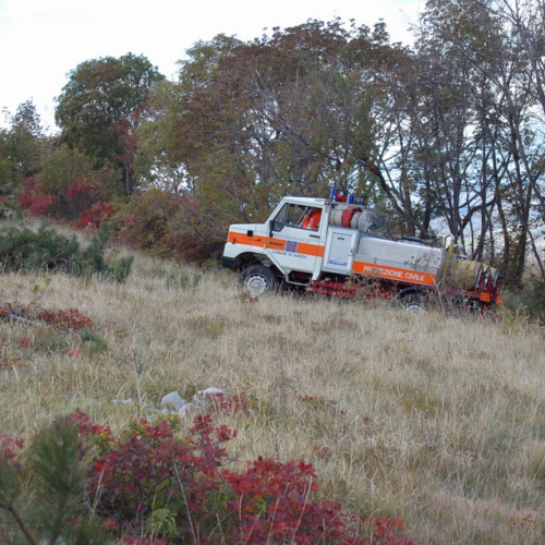 Foto TRSTELJ 07 n. 52 / 18270