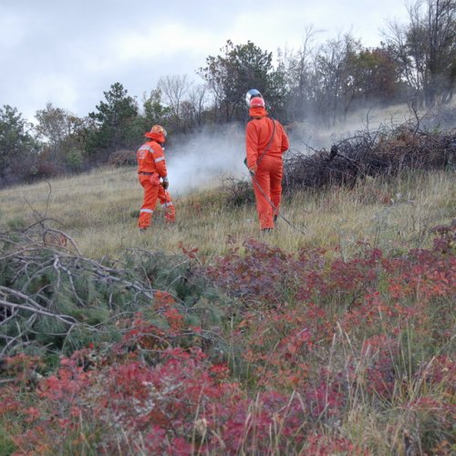 Foto TRSTELJ 07 n. 53 / 18271