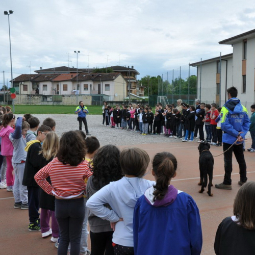 Evacauazione scuola n. 20 / 94881