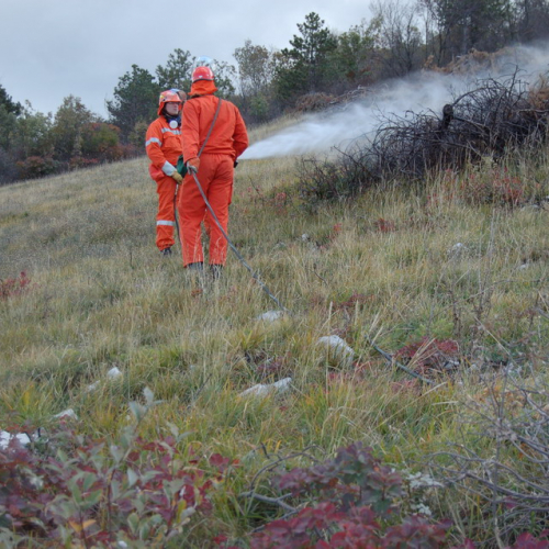 Foto TRSTELJ 07 n. 54 / 18272