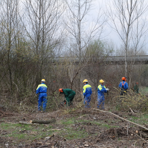 Intervento alveo Torre nelle vicinanze dell'abitato di Salt n. 82 / 78756