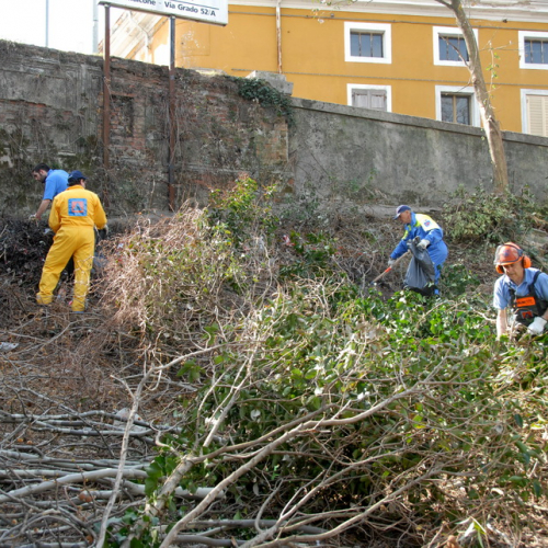 Intervento Fiume Isonzo nei pressi del Ponte di Sagrado n. 26 / 78638