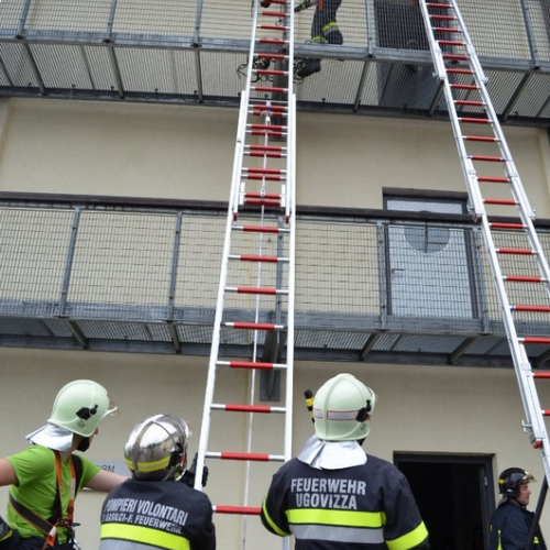 Stage foto n.6 / 113631