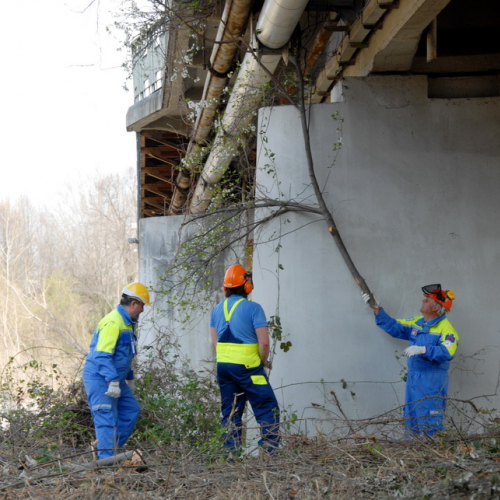 Intervento Fiume Isonzo nei pressi del Ponte di Sagrado n. 27 / 78639