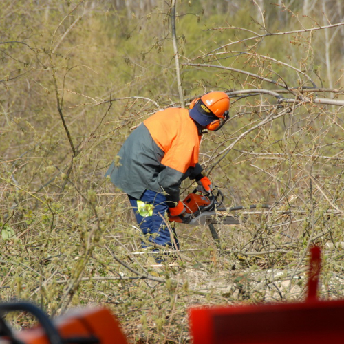 Intervento Fiume Isonzo nei pressi del Ponte di Sagrado n. 28 / 78640