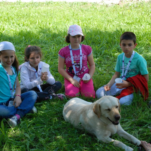 Attivit‡ formazione/divulgazione presso scuola Colugna n. 70 / 109941