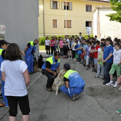 Prova di evacuazione n. 32 / 80734