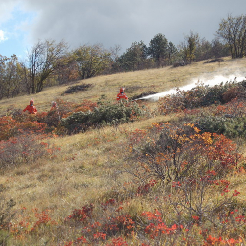 Foto TRSTELJ 07 n. 59 / 18277