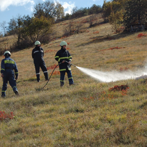 Foto TRSTELJ 07 n. 61 / 18279