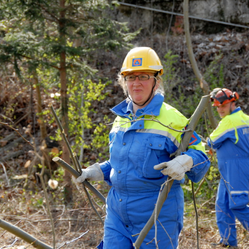 Intervento Fiume Isonzo nei pressi del Ponte di Sagrado n. 30 / 78642