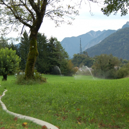 DSC_0376.JPG / 114610