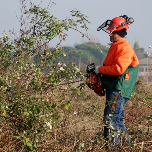 Esercitazione 20/11 n. 1 37 / 73077