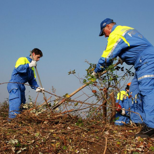 Esercitazione 20/11 n. 1 38 / 73078