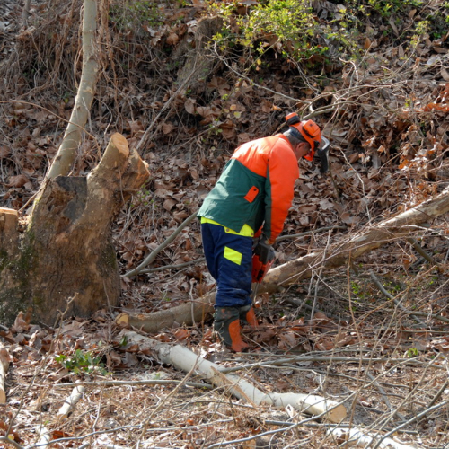 Intervento Fiume Isonzo nei pressi del Ponte di Sagrado n. 32 / 78644
