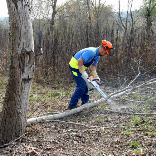 Alvei Puliti 2012 n. 91 / 78292