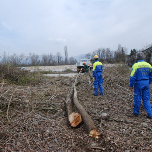 Intervento alveo Torre nelle vicinanze dell'abitato di Salt n. 84 / 78758