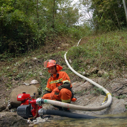 DSC_0383.JPG / 114615