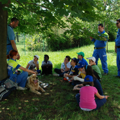 Attivit‡ formazione/divulgazione presso scuola Colugna n. 77 / 109948