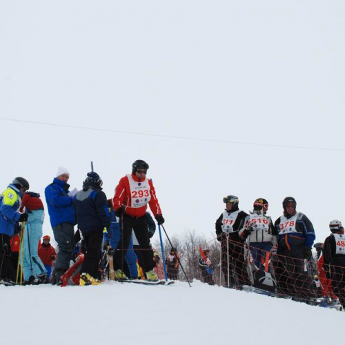 Gara di slalom gigante 52 / 34698