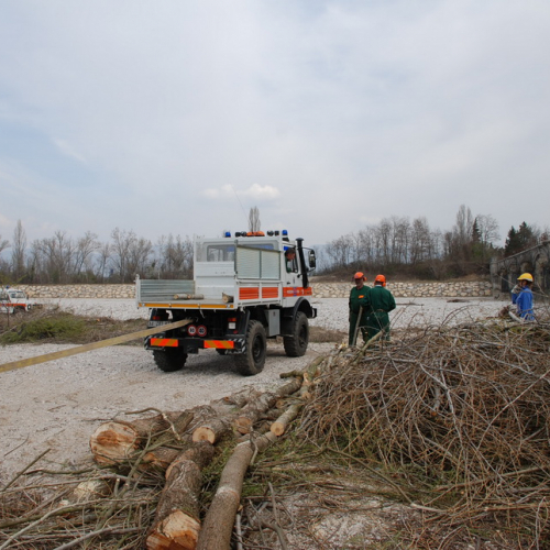 Intervento alveo Torre nelle vicinanze dell'abitato di Salt n. 85 / 78759