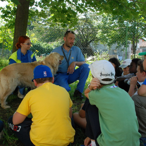 Attivit‡ formazione/divulgazione presso scuola Colugna n. 79 / 109950