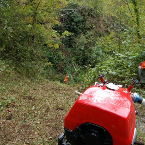 DSC_0389.JPG / 114612