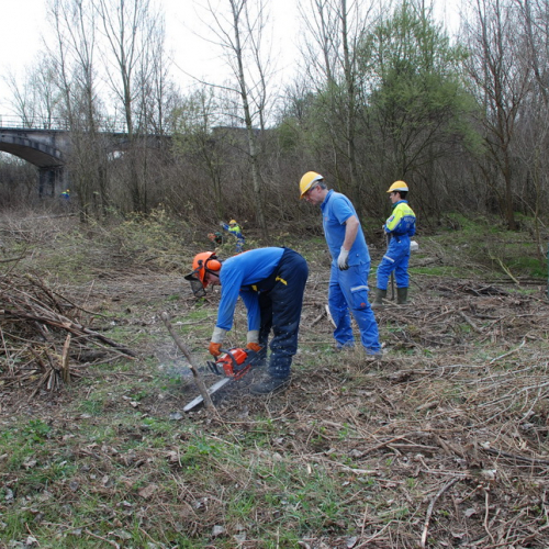 Intervento alveo Torre nelle vicinanze dell'abitato di Salt n. 86 / 78760