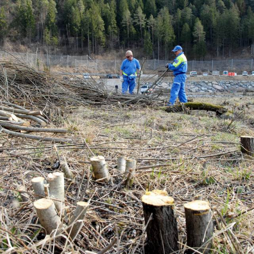 Alvei Puliti 2012 n. 92 / 78293