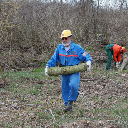 Intervento alveo Torre nelle vicinanze dell'abitato di Salt n. 87 / 78761