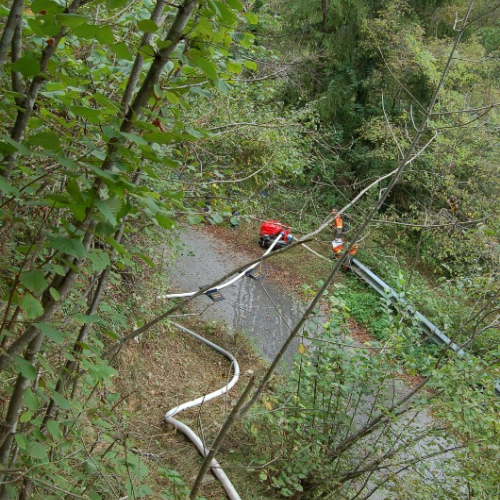 DSC_0394.JPG / 114613