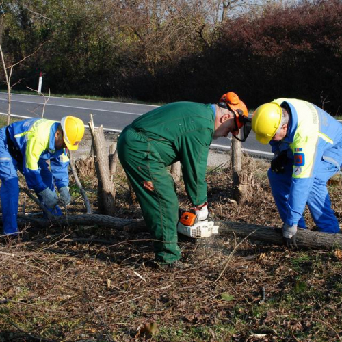 Esercitazione 19/11 n. 53 / 72927