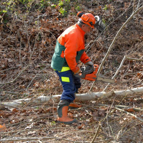 Alvei Puliti 2012 n. 93 / 78294