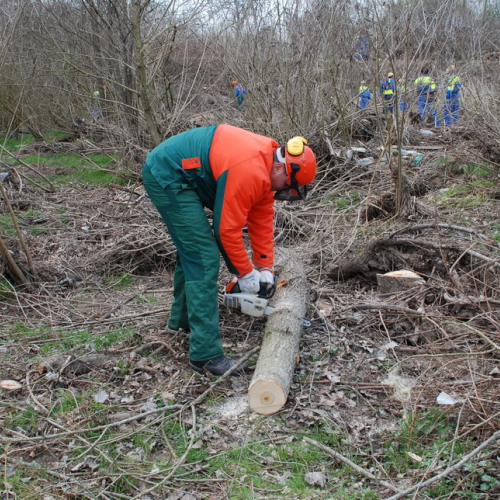 Intervento alveo Torre nelle vicinanze dell'abitato di Salt n. 88 / 78762