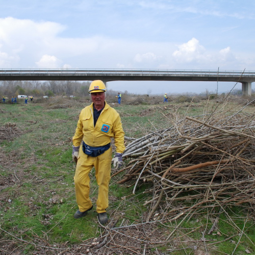 Intervento alveo Torre nelle vicinanze dell'abitato di Salt n. 89 / 78763