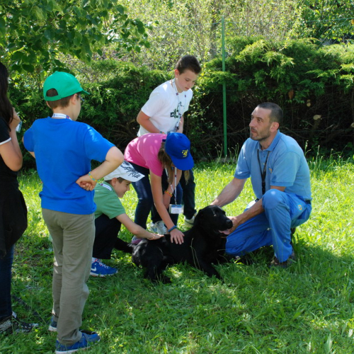 Attivit‡ formazione/divulgazione presso scuola Colugna n. 81 / 109952