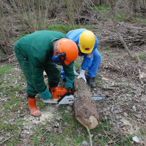 Intervento alveo Torre nelle vicinanze dell'abitato di Salt n. 90 / 78764