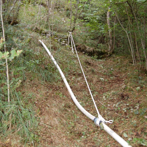 DSC_0398.JPG / 114617