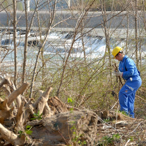 Alvei Puliti 2012 n. 94 / 78295