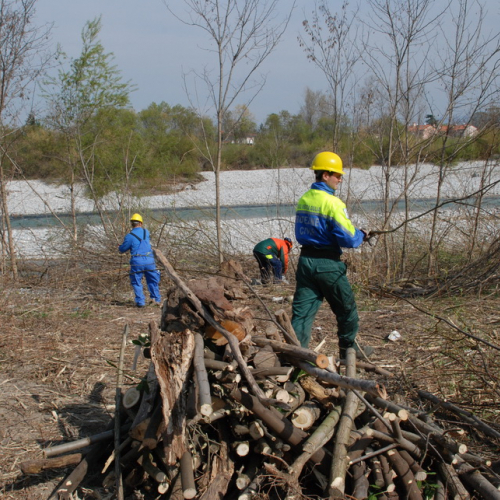 Intervento Fiume Isonzo nei pressi del Ponte di Sagrado n. 34 / 78646