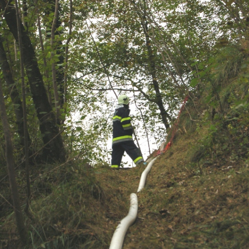 DSC_0400.JPG / 114620