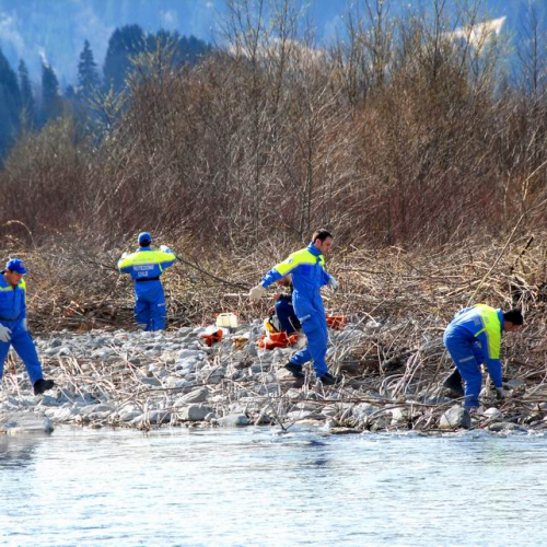 Alvei Puliti 2012 n. 95 / 78296