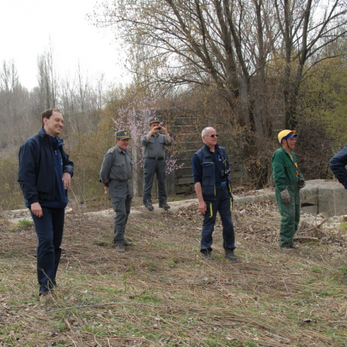 Intervento alveo Torre nelle vicinanze dell'abitato di Salt n. 91 / 78765