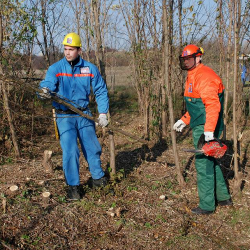 Esercitazione 19/11 n. 54 / 72928